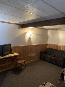 een woonkamer met een bank en een televisie bij Lava Mountain Lodge in Dubois