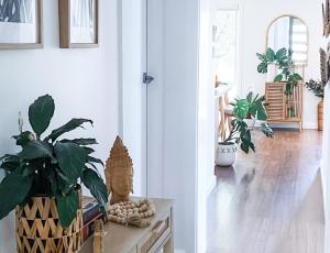 Imagen de la galería de Just book it! Ruby - a spacious house in the CBD, en Wagga Wagga