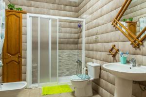 a bathroom with a shower and a toilet and a sink at El Huerto in Firgas +16 photos