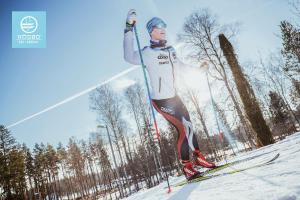 Hosté ubytování Högbo Brukshotell & Spa