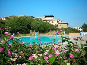 a swimming pool with pink flowers in the foreground at Residence Bouganville in Porto Rotondo