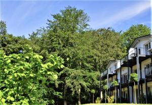 een rij huizen met bomen op de achtergrond bij Ferienwohnung Meeresrauschen in Ostseebad Sellin +31 foto's