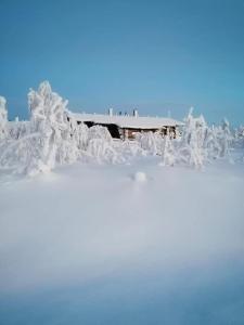 Fotografie z fotogalerie ubytování Sielikkö Aurora Log Apartments v destinaci Saariselka