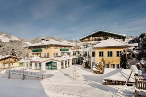 a large house in the snow with snow covered yard at Alpina Wagrain in Wagrain