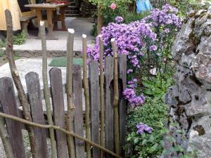 A garden outside Knödl-Alm Waldhäusl