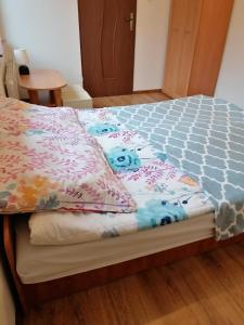 瓦姆比耶尔兹采Srebrny Świerk的相册照片