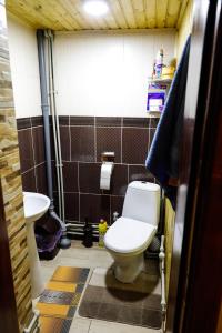 La salle de bains est pourvue de toilettes et d'un lavabo. dans l'établissement Домашня Оселя, à Yaremtche