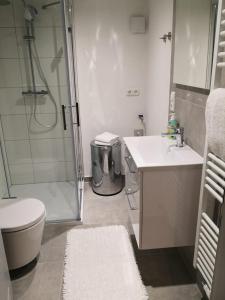 bagno con doccia, lavandino e servizi igienici di Ferienwohnungen Ostengasse 22 a Ratisbona