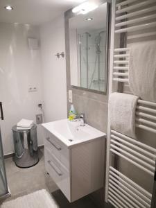 bagno con lavandino bianco e specchio di Ferienwohnungen Ostengasse 22 a Ratisbona