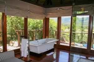 Gambar di galeri bagi Pumba Private Game Reserve di Grahamstown