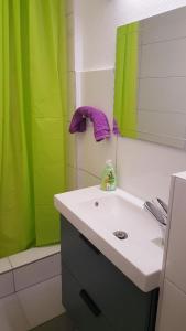 a bathroom with a sink and a green shower curtain at JINA in Strasbourg