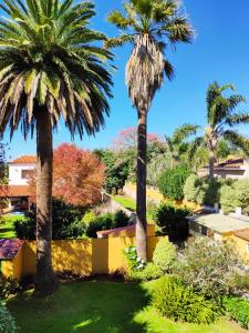 Gallery image of La Chimenea Verde in Tacoronte