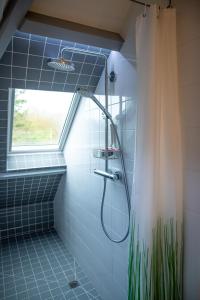 a shower in a blue tiled bathroom with a window at DC's Home in Meise