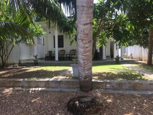 a palm tree in the middle of a yard at Avendra Holiday Inn Weligama in Weligama