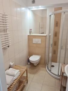 a small bathroom with a toilet and a shower at Apartament Baltic in Świnoujście