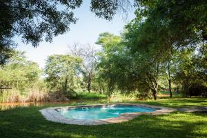 a swimming pool in the middle of a lawn with trees at Mulati Luxury Safari Camp in Gravelotte
