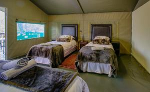 a room with two beds and a tv in it at Mulati Luxury Safari Camp in Gravelotte