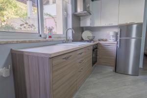 Kuchyň nebo kuchyňský kout v ubytování Apartmani Villa Mila