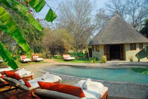a resort with a pool with lounge chairs and a hut at Divava Okavango Resort & Spa in Bagani