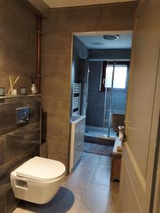 a bathroom with a toilet and a walk in shower at Residence du Vieux Chateau jardin & parking gratuit in Mulhouse