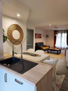 a kitchen with a sink and a living room at Residence du Vieux Chateau jardin & parking gratuit in Mulhouse
