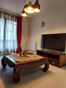 a living room with a coffee table and a flat screen tv at Residence du Vieux Chateau jardin & parking gratuit in Mulhouse