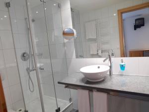 a bathroom with a sink and a glass shower at Hotel Alpina Parpan in Parpan