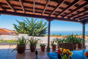 a table with potted plants sitting on a patio at CASA VAN DE WALLE in Tijarafe