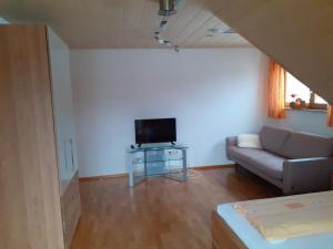 ein Wohnzimmer mit einem Sofa und einem TV in der Unterkunft Haus Am Ettenberg in Frickingen