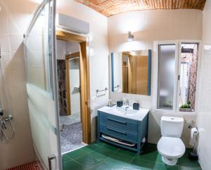 a bathroom with a blue sink and a toilet at Art & SUITE Apartment Cáceres in Cáceres