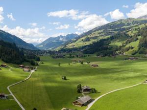 レンクにあるApartment Trachsel-Huus by Interhomeの山々の緑地の空中