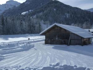 レンクにあるApartment Trachsel-Huus by Interhomeの雪に覆われた納屋