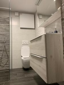 a bathroom with a toilet and a shower at Apartma Sinitus in Izola +32 photos