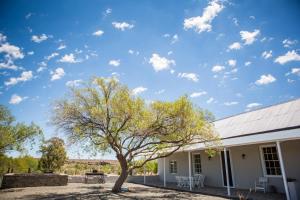ein Baum vor einem weißen Gebäude in der Unterkunft Grootfontein Farm House in Beaufort West