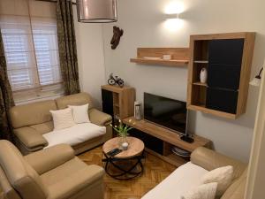 TV a/nebo společenská místnost v ubytování Apartment Abba