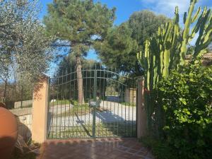a gate to a garden with a cactus at Casale ristrutturato 3 Km Tropea in Santa Domenica