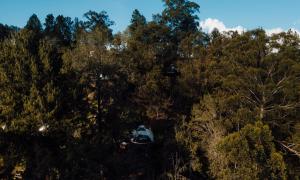 an aerial view of a group of trees at Domus Glamping in Guatapé