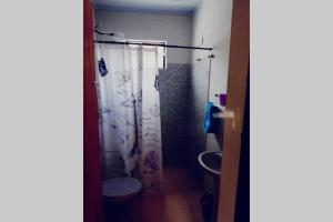 a bathroom with a toilet and a shower curtain at Solar de Paz 3 - ubicado en pleno Centro in Rivera