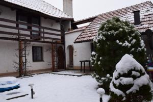 Chalet Lucie v zime