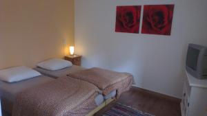 Postel nebo postele na pokoji v ubytování Holiday Home Žlábek