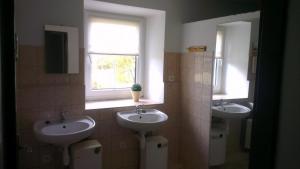 Koupelna v ubytování Holiday Home Žlábek