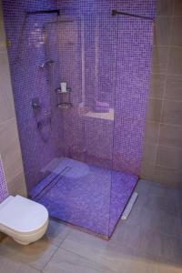 y baño con ducha de azulejos púrpura y aseo. en Terranova Apartment (city central), en Belgrado