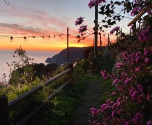 a path with flowers and a sunset in the background at Villa Pietrafiore in Monterosso al Mare