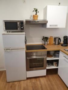 a kitchen with a stove and a microwave at Ferienwohnung Kleine Südpfalz in Zeiskam