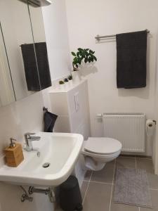 Ένα μπάνιο στο Ferienwohnung Kleine Südpfalz +9 φωτογραφίες
