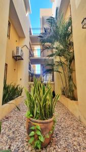 Imagen de la galería de Depa Cielito, en Santa Cruz Huatulco