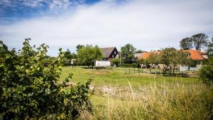 a house in a field with trees and grass at Welcome in - Oranjezon - Vakantiehuizen 2 & 4 personen in Vrouwenpolder