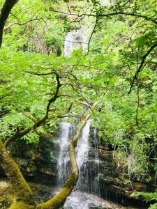 a waterfall in the middle of a forest with trees at Theasis-Igloo in Ágnanta
