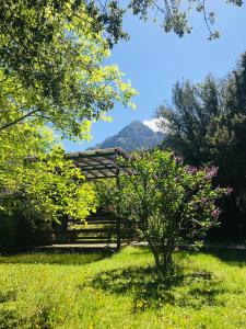 a garden with a pergola with a mountain in the background at Theasis-Igloo in Agnanta