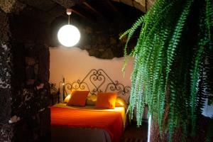 CASA EL VALLITO في Guarazoca: غرفة نوم بسرير ونبات خضراء
